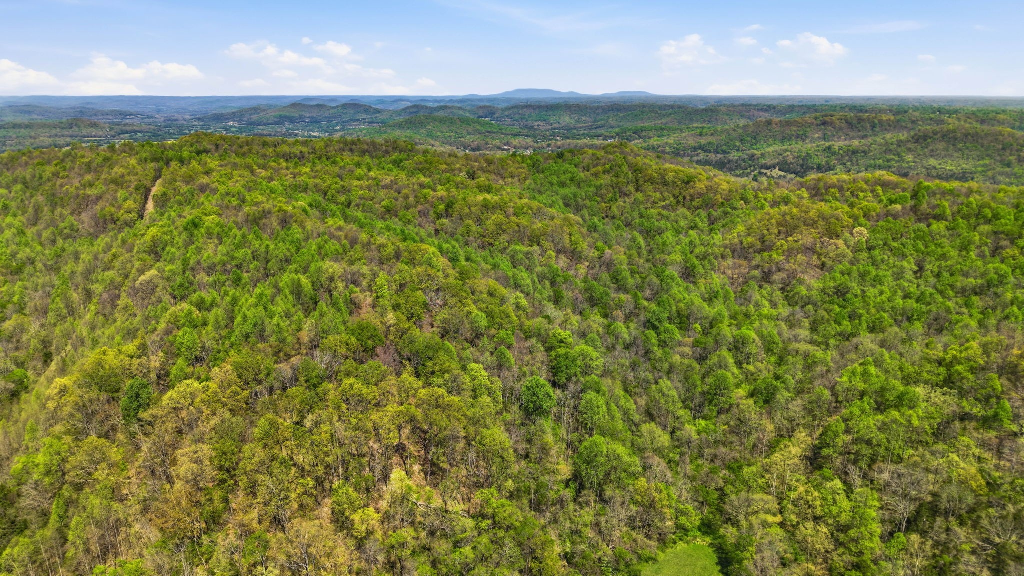 0 Green Road Beechgrove, TN 37018 - Photo 10 of 21