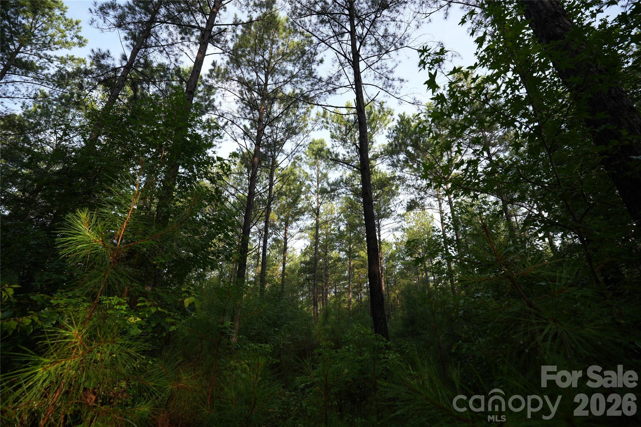 0 Bobby Faucette Road, Unit 7 Jonesville, SC 29353 - Photo 6 of 11 Gallery Image 6