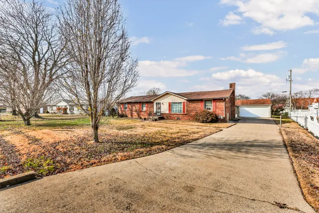 a street view with large trees