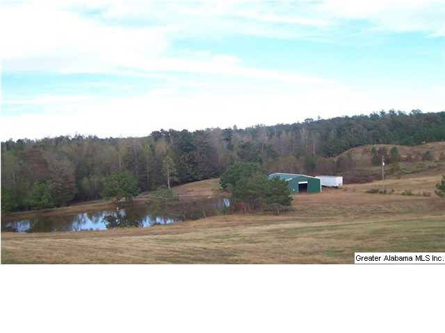 1776 County Road 96 Heflin, AL 36264 - Photo 29 of 31