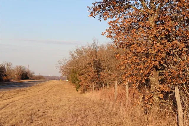 a view of a yard with a tree