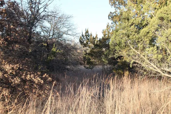 a view of lake view with mountain view