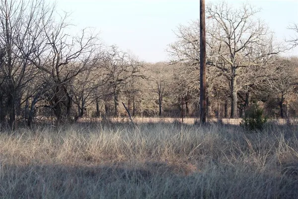 a view of a dry yard