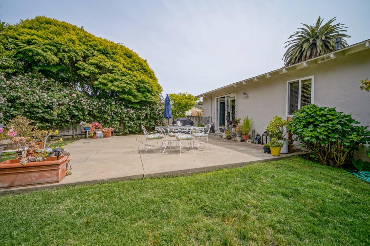 3445 Rio Road Carmel, CA 93923 - Photo 13 of 16 a view of a backyard with a garden and plants