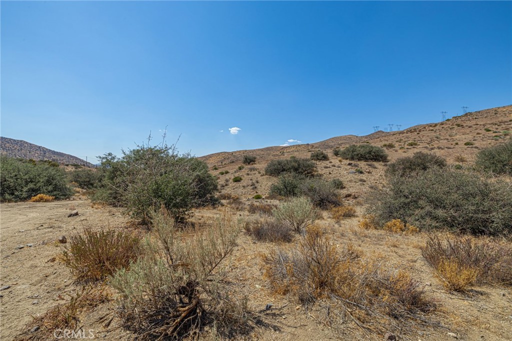 0 East Soledad Pass Road Palmdale, CA 93550 - Photo 9 of 12 a view of a dry yard