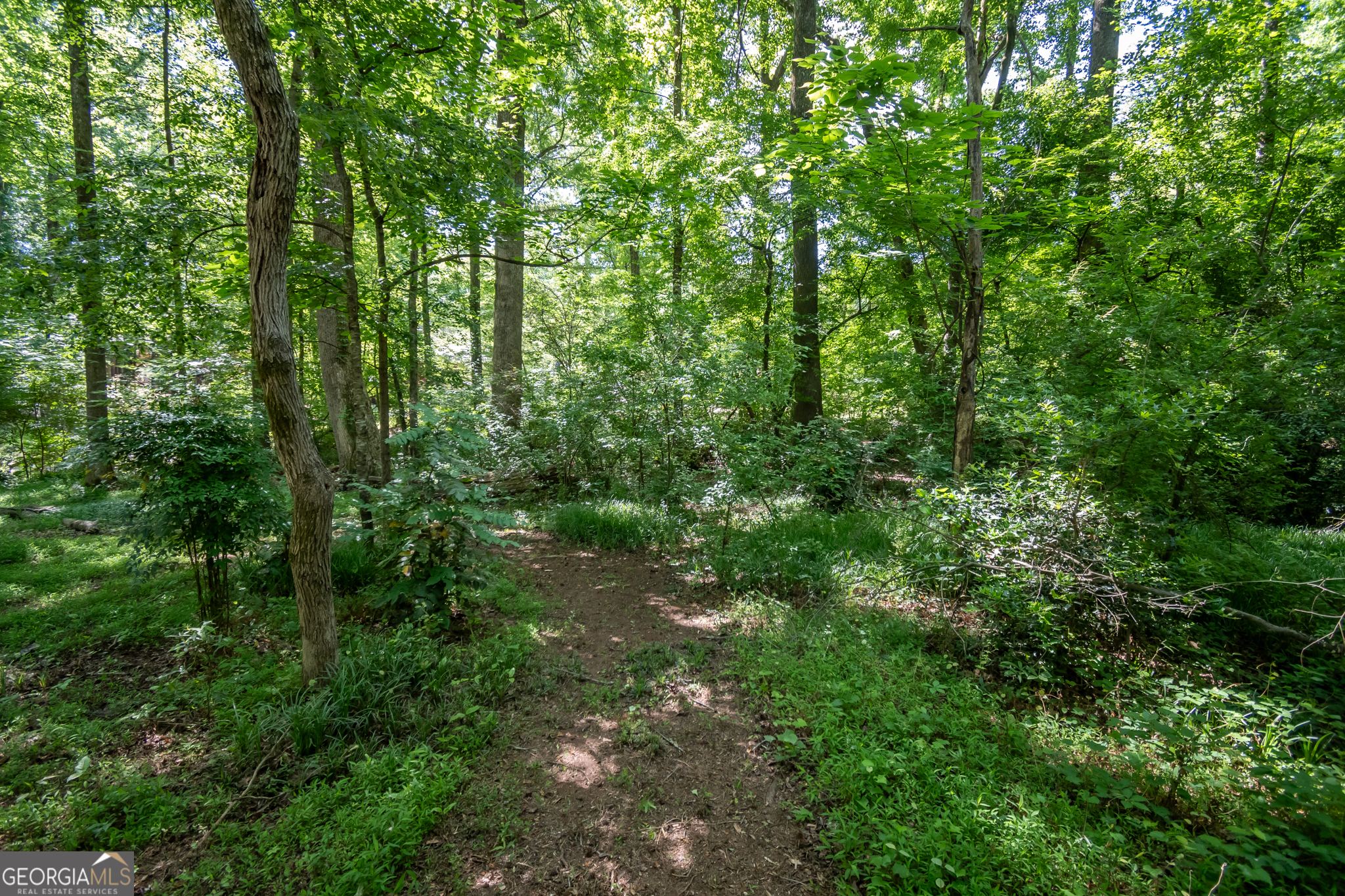 1051 Crooked Creek Road Watkinsville, GA 30677 - Photo 48 of 62