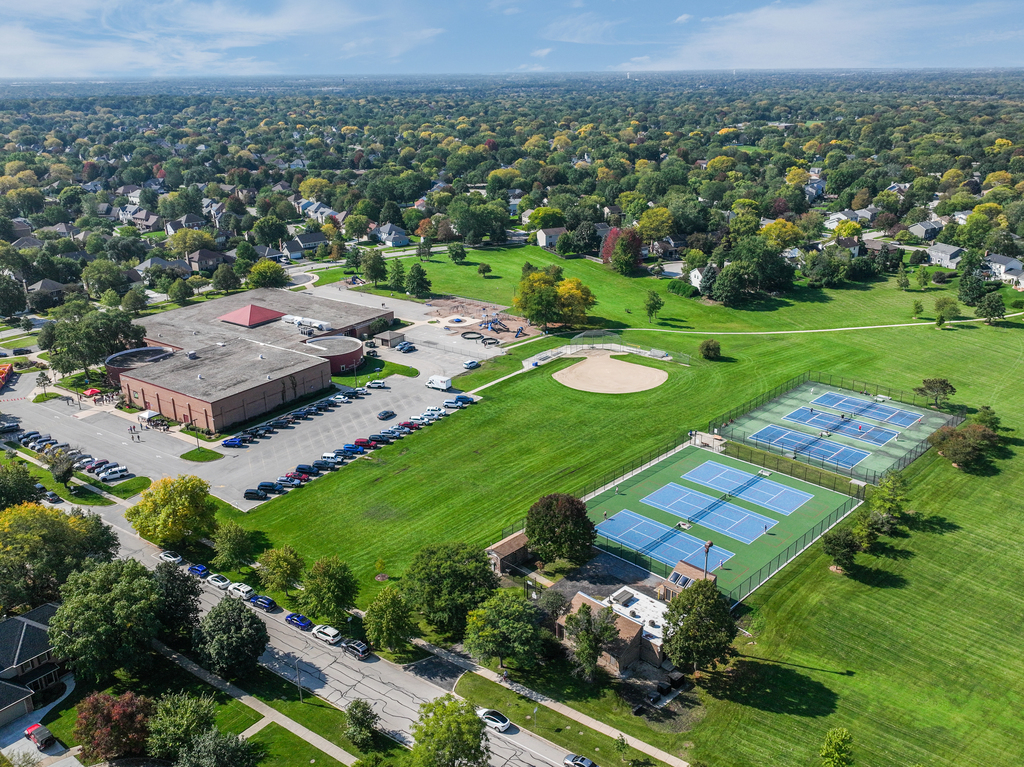 1712 Mundelein Road Naperville, IL 60565 - Photo 42 of 42 an aerial view of a house with outdoor space