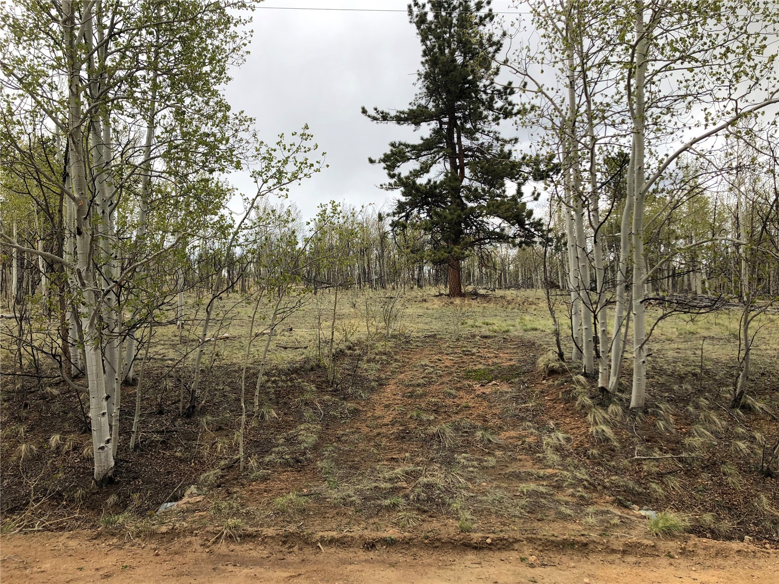171 Falcon Road Como, CO 80432 - Photo 4 of 14 Gallery Image 4