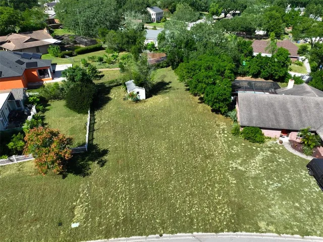 a view of a garden with plants