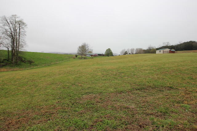 155 Eugene Harness Road Science Hill, KY 42553 - Photo 91 of 101 IMG_5667
