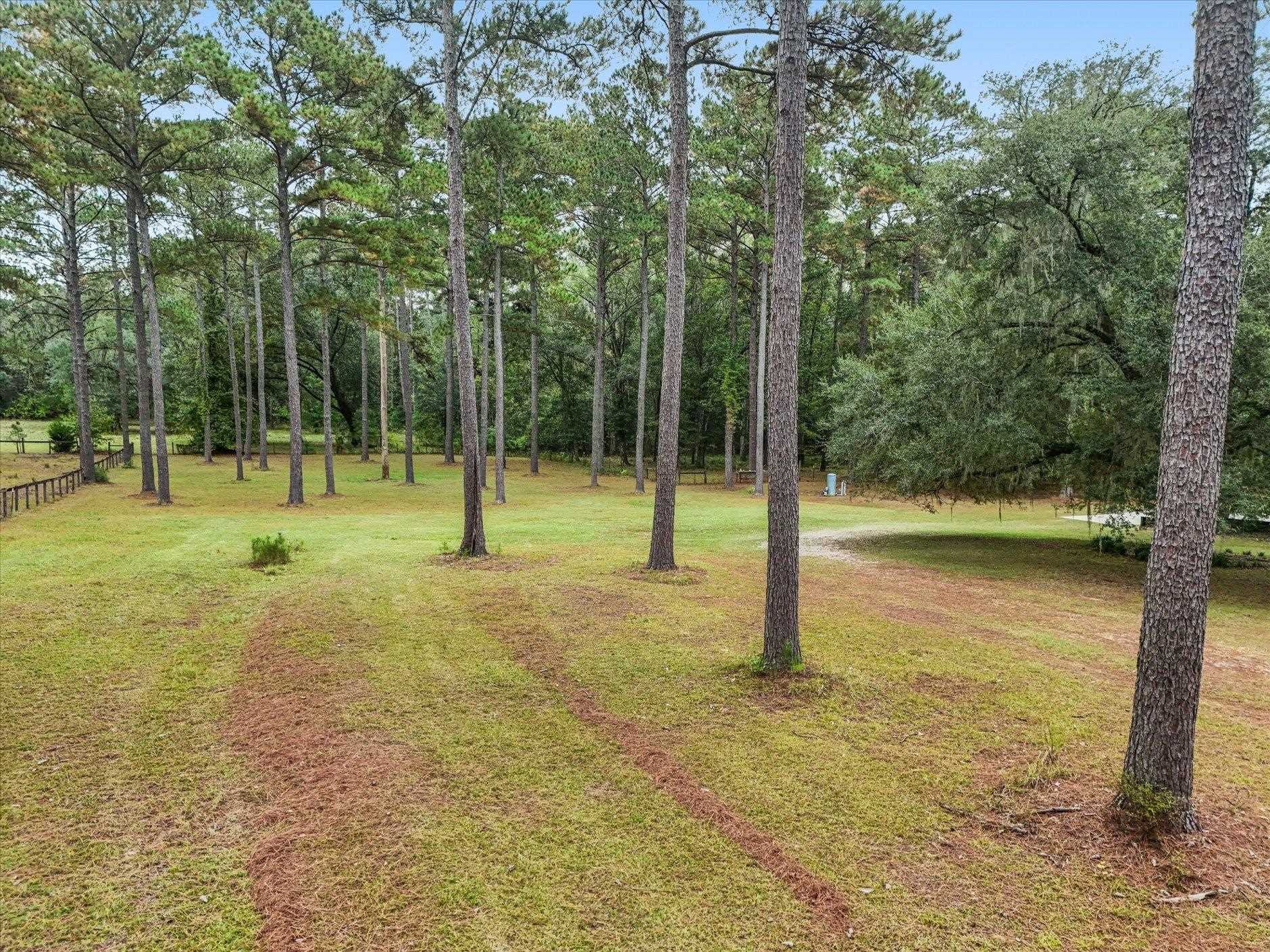 1923 White House Road Monticello, FL 32344 - Photo 21 of 56