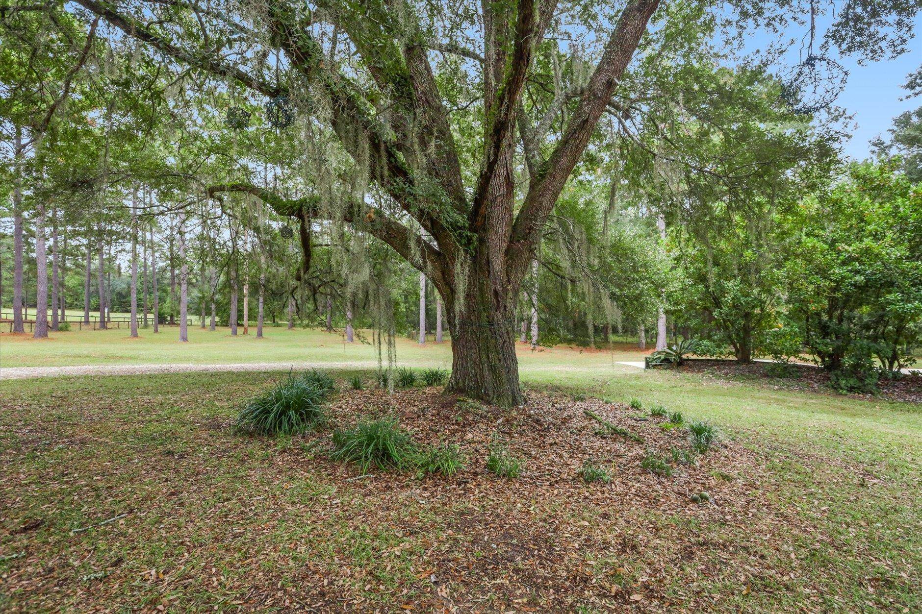 1923 White House Road Monticello, FL 32344 - Photo 23 of 56