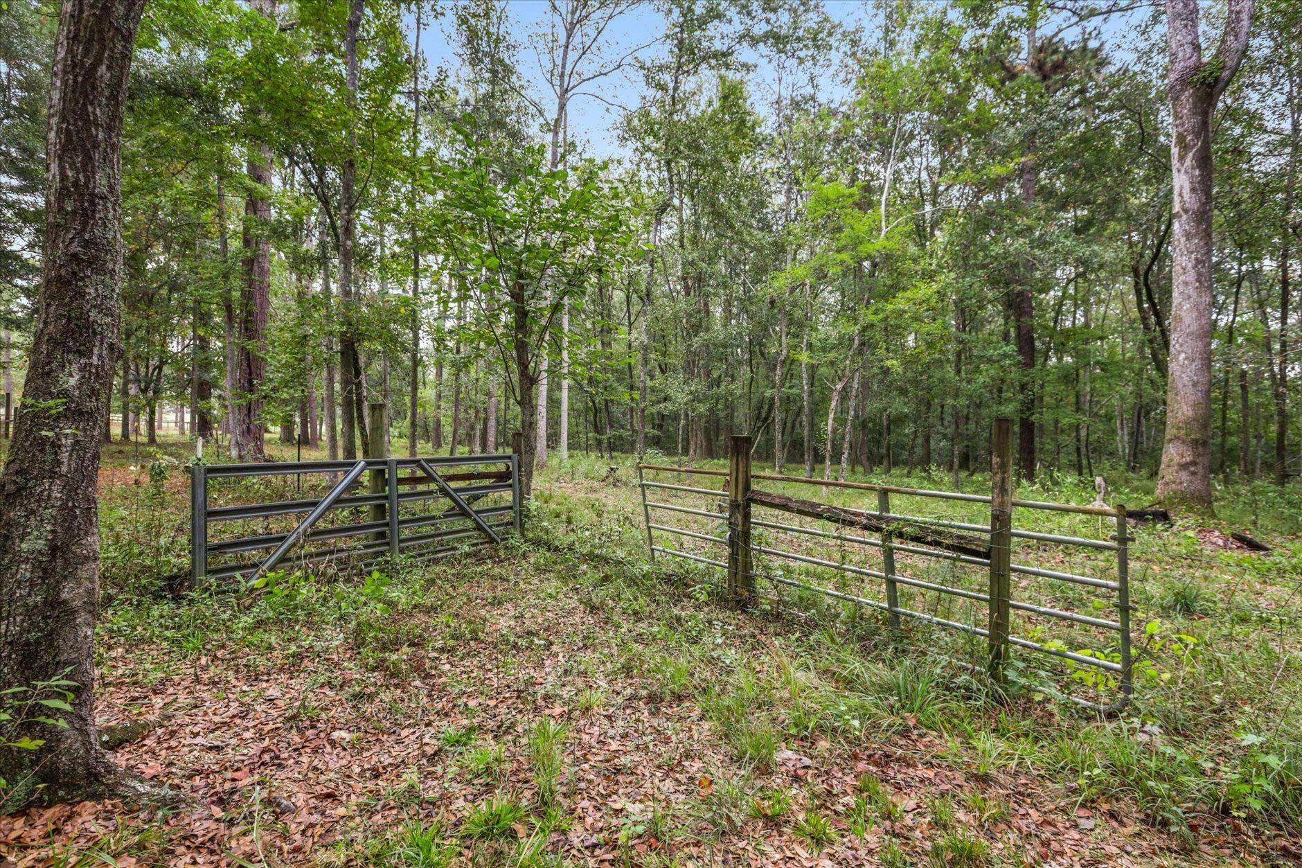 1923 White House Road Monticello, FL 32344 - Photo 25 of 56