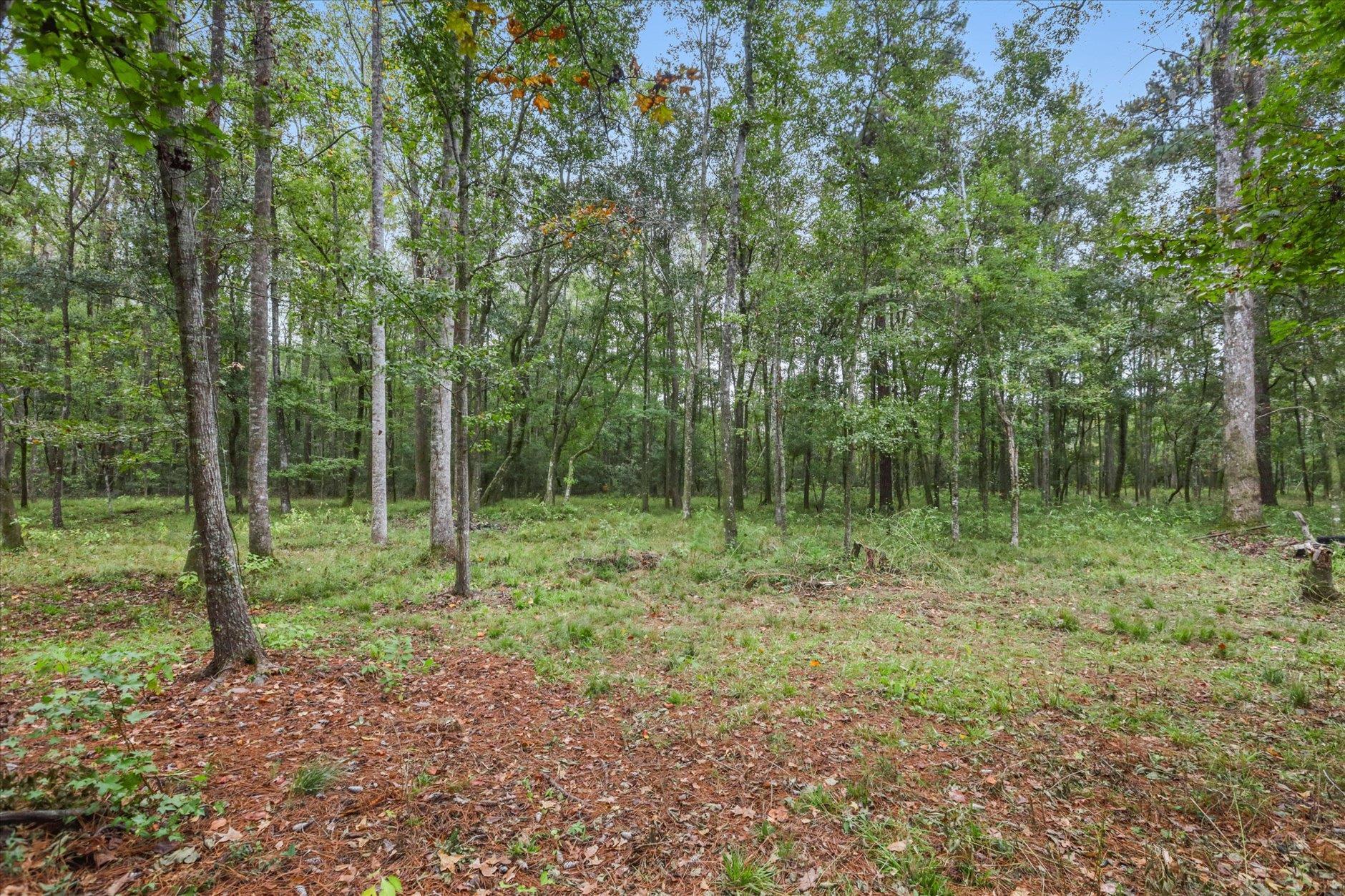 1923 White House Road Monticello, FL 32344 - Photo 26 of 56