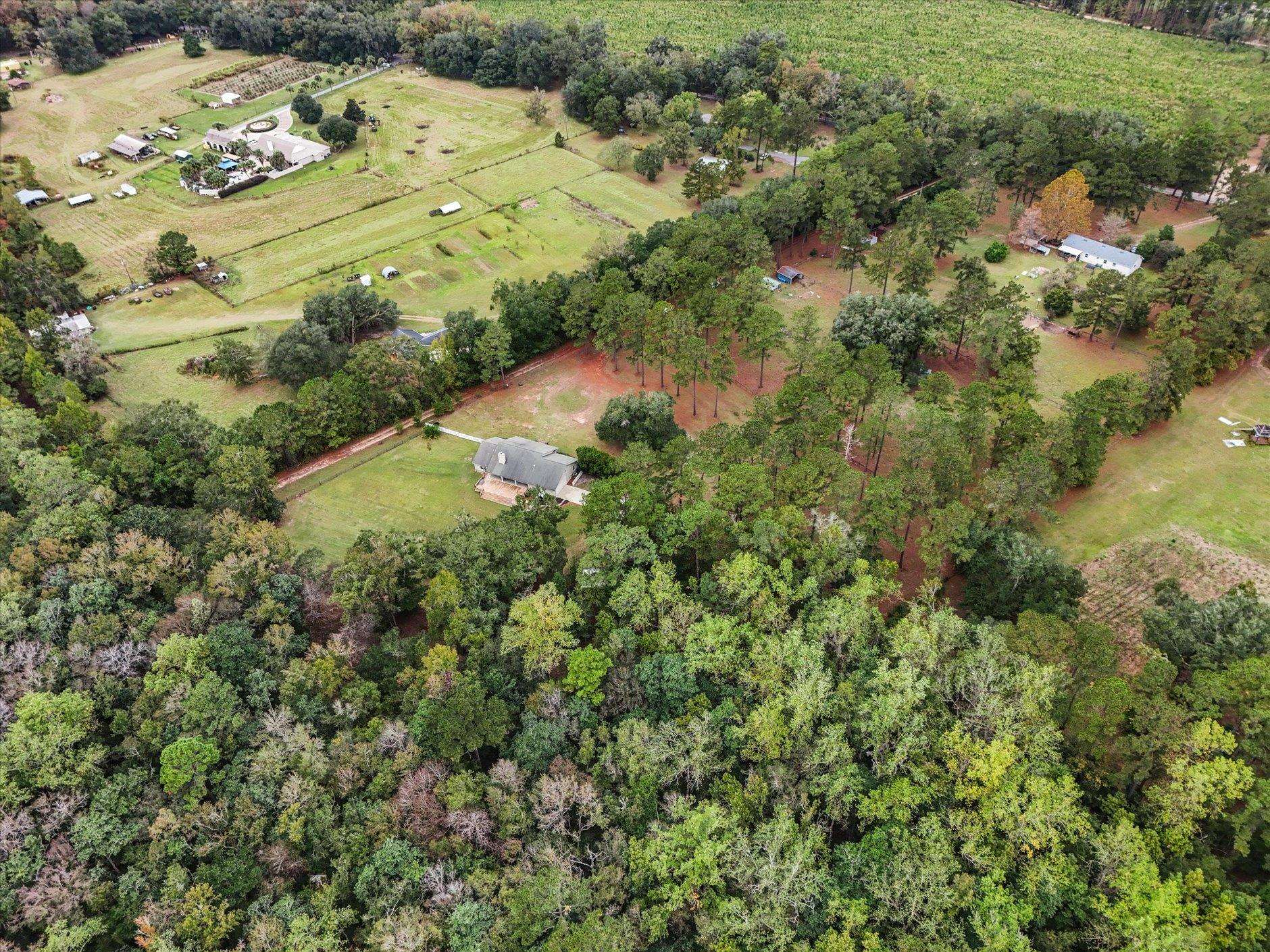 1923 White House Road Monticello, FL 32344 - Photo 30 of 56