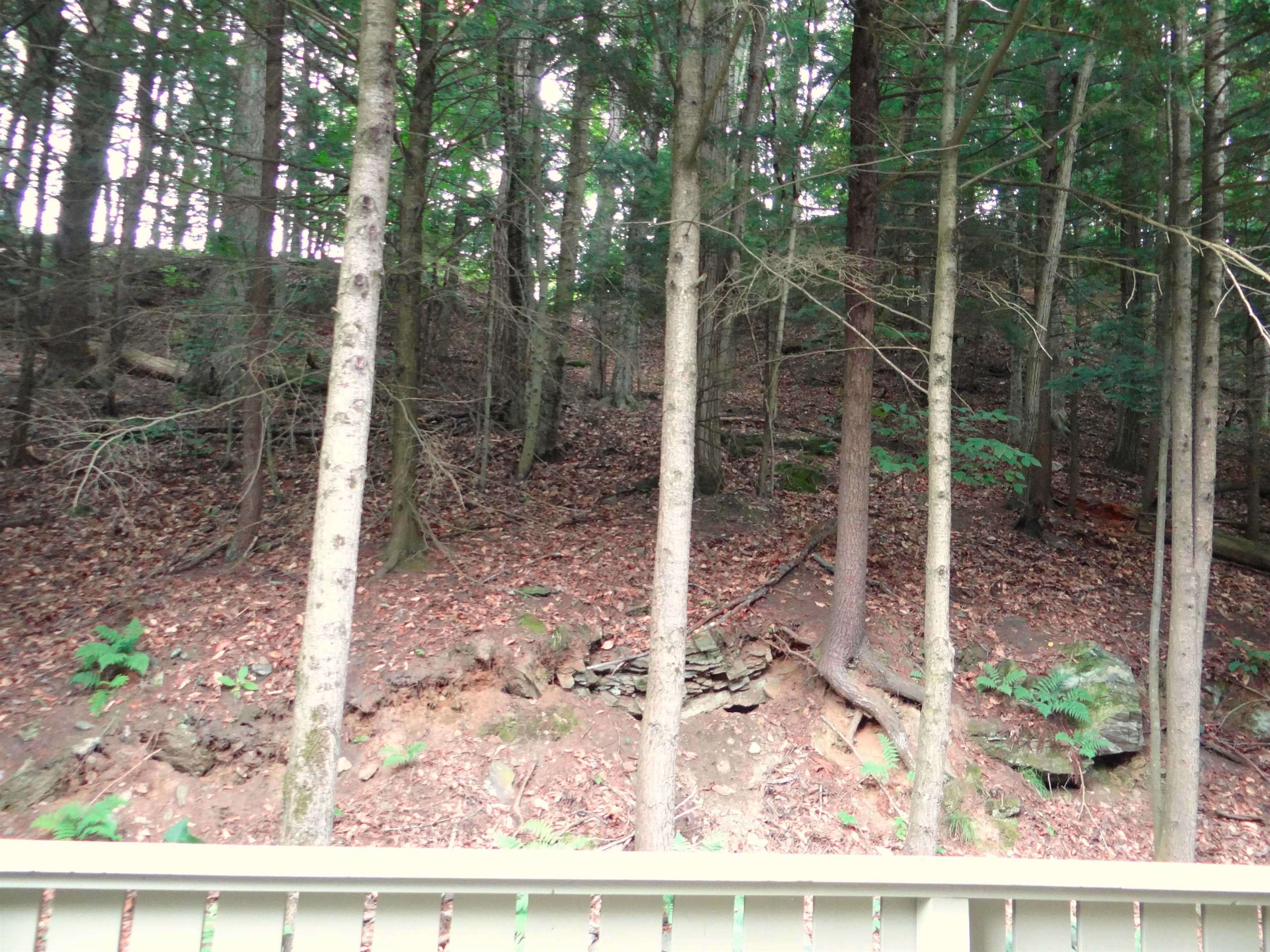 31 Pleasant Street, Unit 52 Lebanon, NH 03784 - Photo 10 of 45