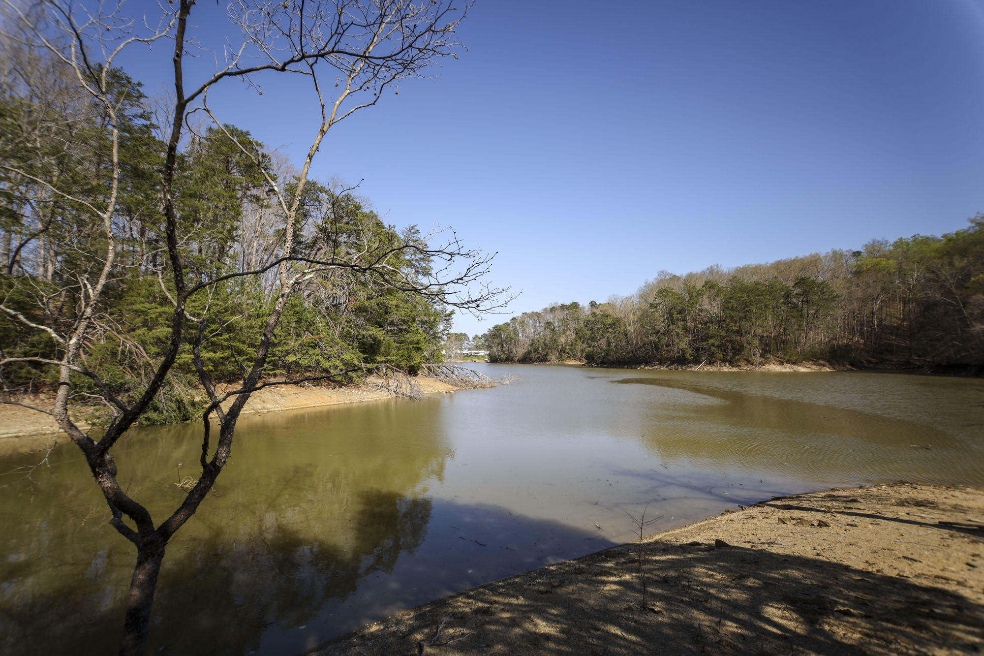 1852 Chestnut Hill Road Dandridge, TN 37725 - Photo 29 of 32 31