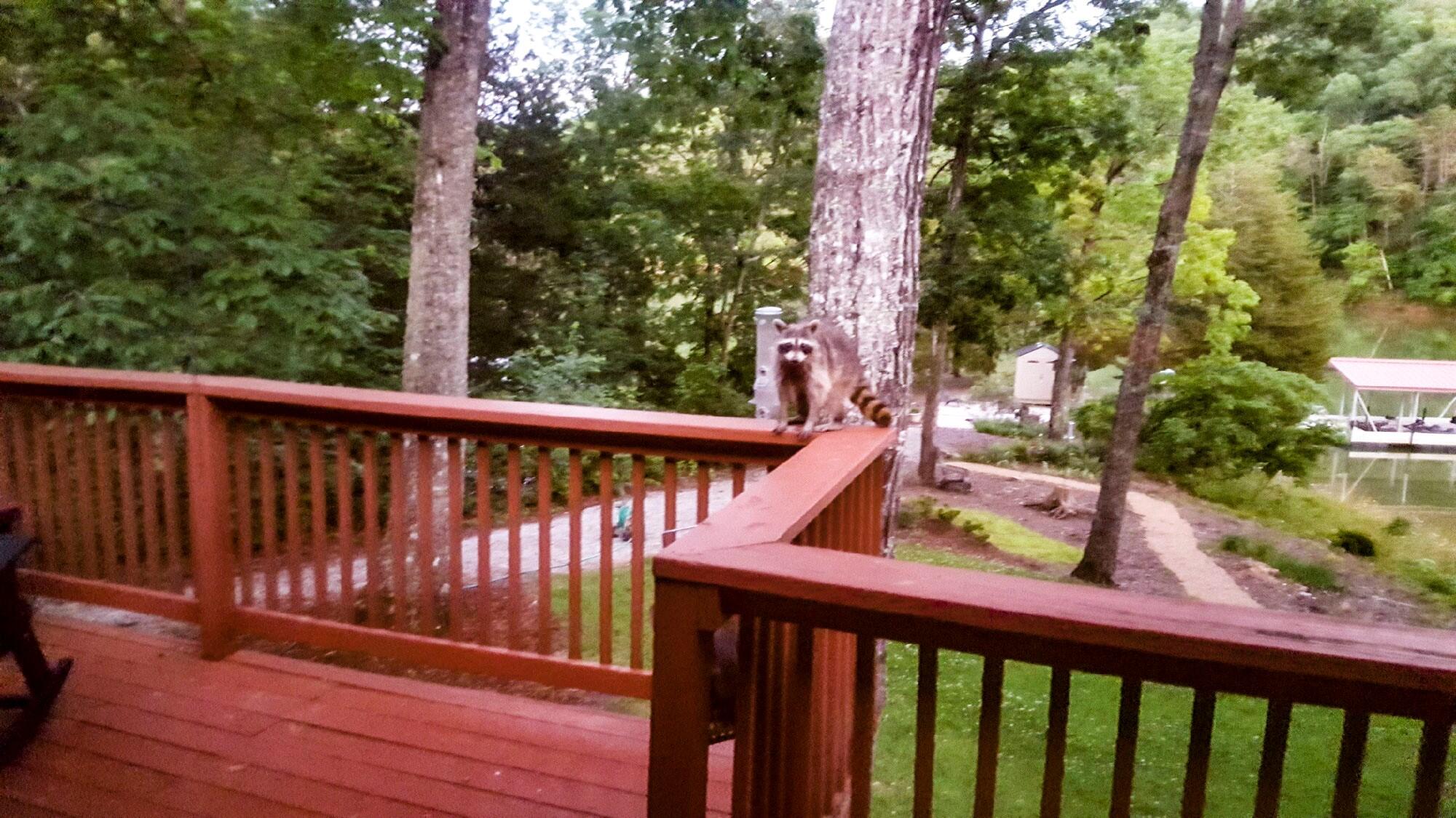 1852 Chestnut Hill Road Dandridge, TN 37725 - Photo 32 of 32 34