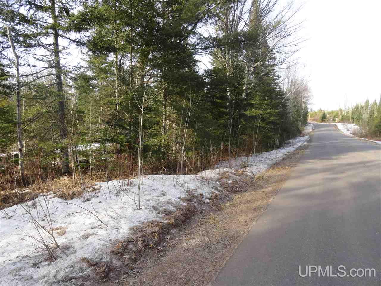 116-acres 116-acres Co Road Negaunee, MI 49866 - Photo 23 of 37