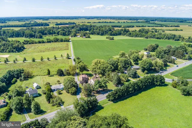 a view of a city with lots of trees