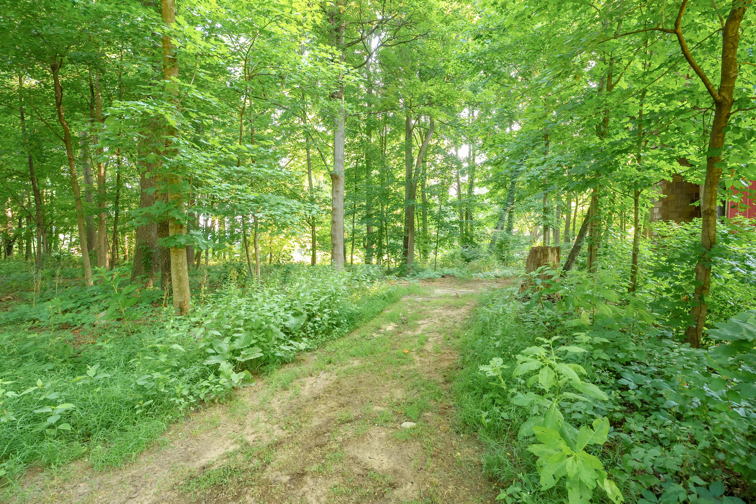 1020 Miller Road Plainwell, MI 49080 - Photo 39 of 54 Miller Rd 1020 Plainwell 49080-29