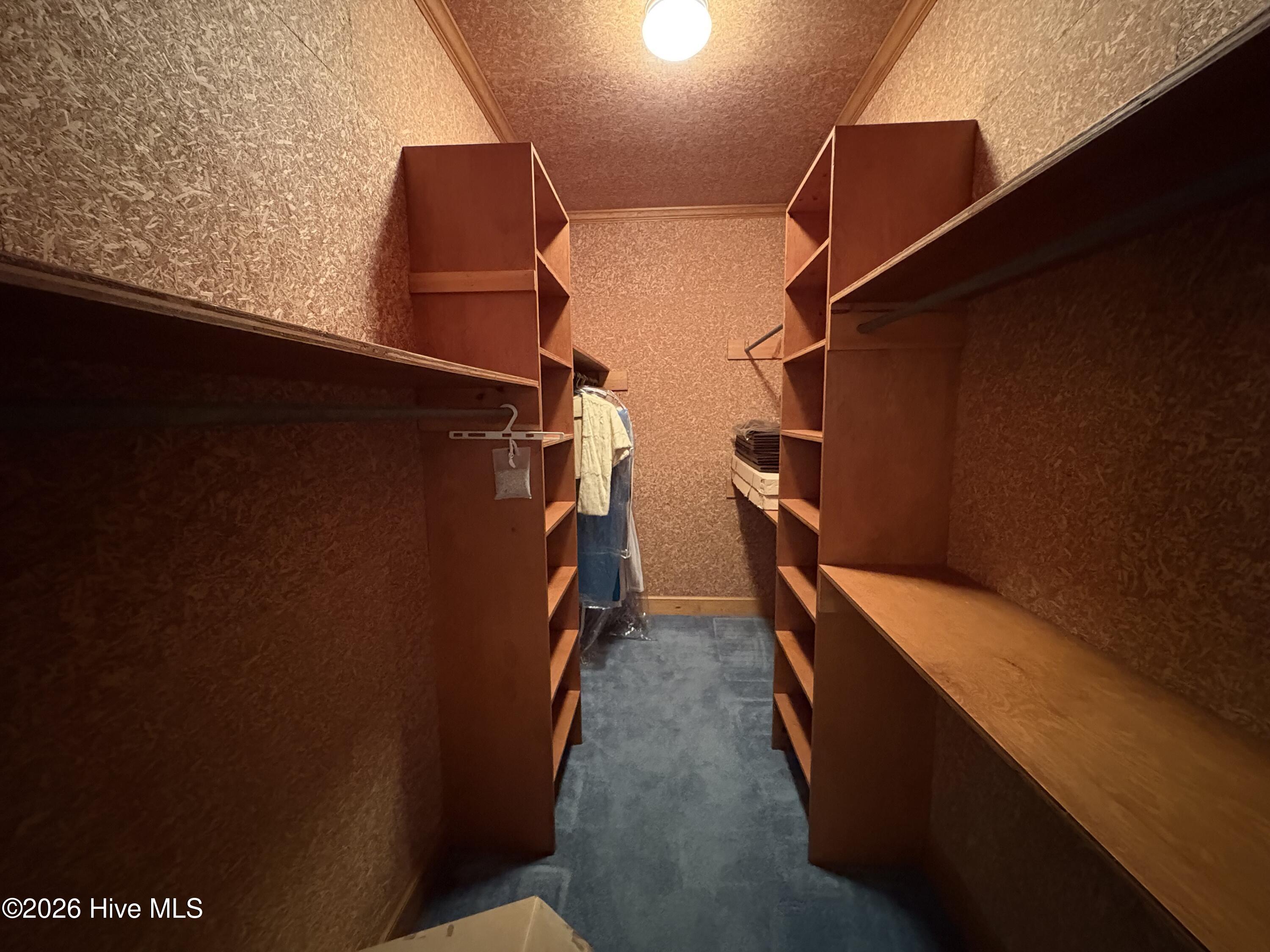 214 Alderson Road Washington, NC 27889 - Photo 44 of 49 Cedar closet