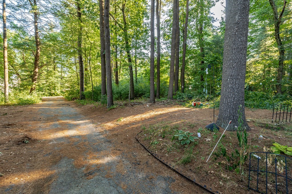 129 White Oak Road Springfield, MA 01128 - Photo 36 of 39