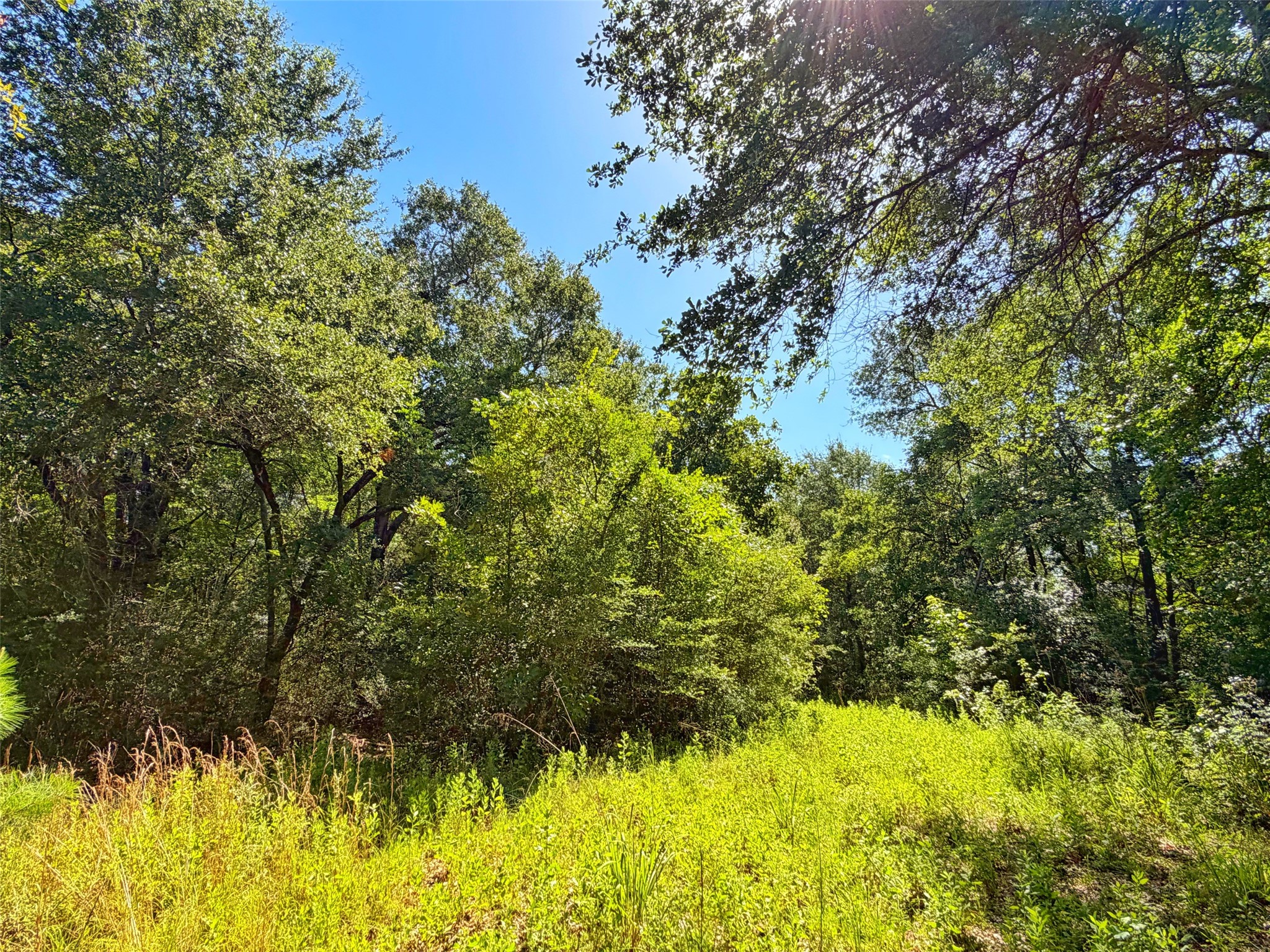 Tbd Tbd I-45 West Feeder Road Centerville, TX 75833 - Photo 13 of 15