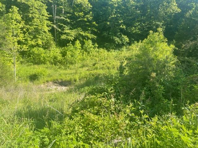 1900 Murphy Ford Road Irvine, KY 40336 - Photo 18 of 43 1261648-17