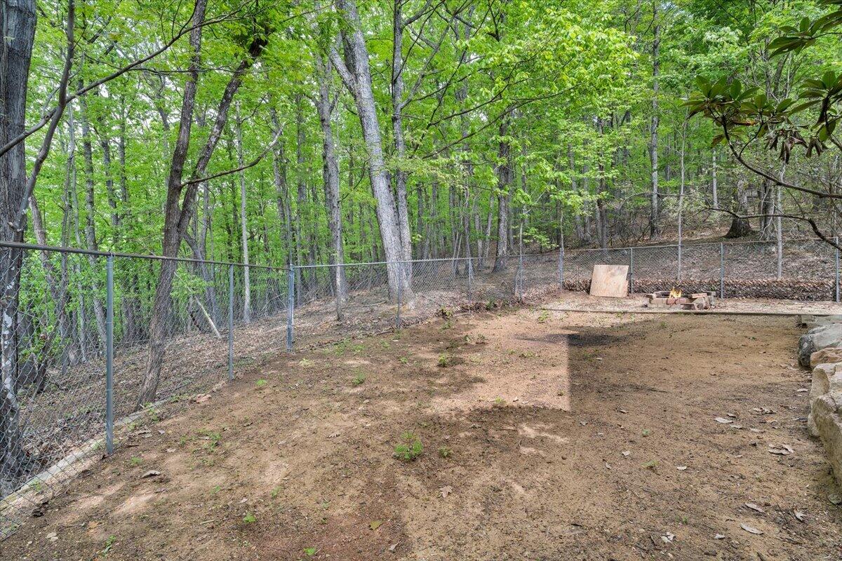 290 Silver Shadow Road Hardy, VA 24101 - Photo 44 of 62 a view of a yard with large trees