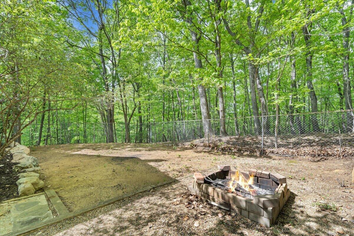 290 Silver Shadow Road Hardy, VA 24101 - Photo 46 of 62 a view of a yard with large trees