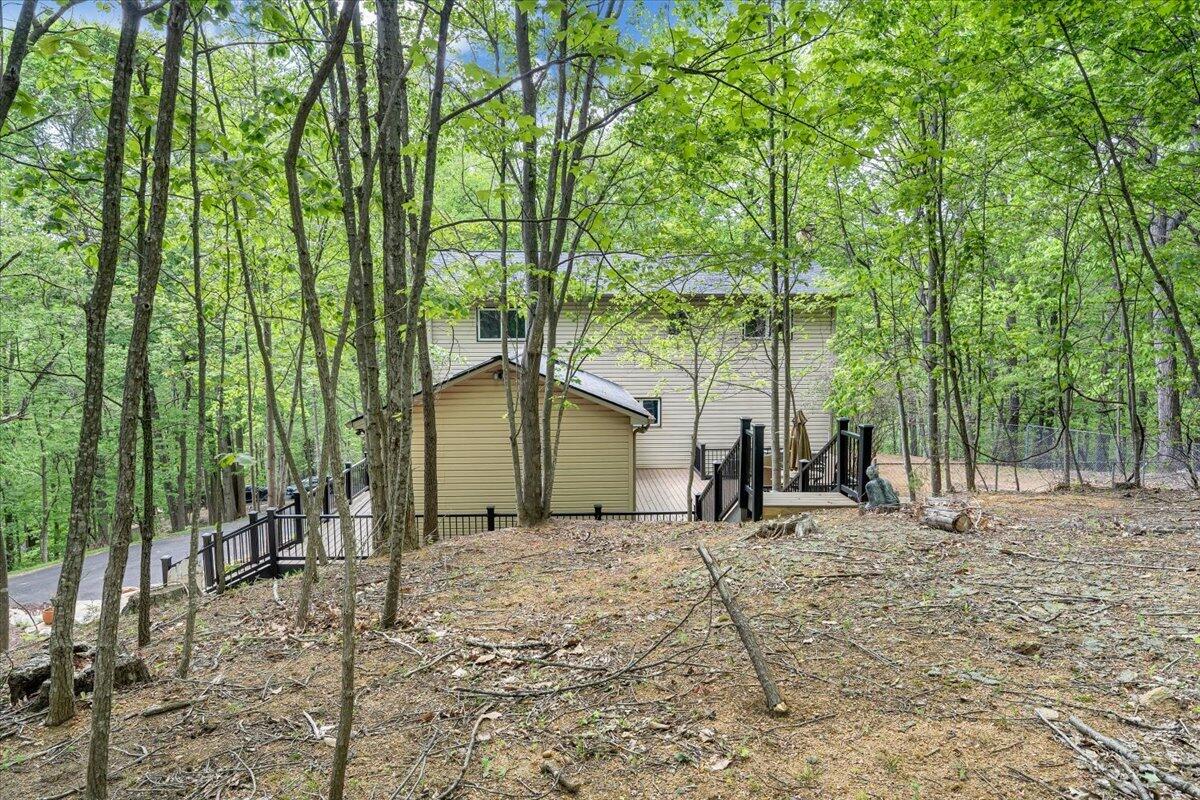 290 Silver Shadow Road Hardy, VA 24101 - Photo 52 of 62 52-MIB06615