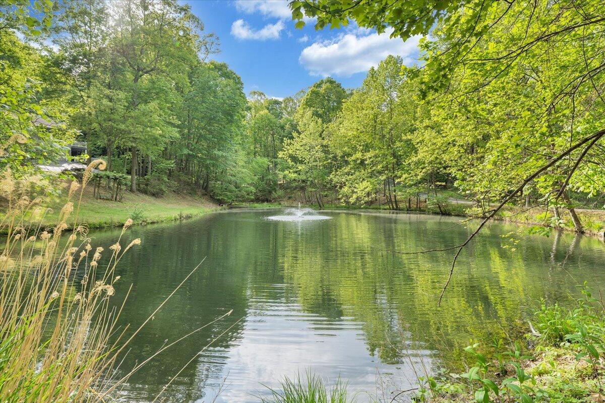 290 Silver Shadow Road Hardy, VA 24101 - Photo 61 of 62 a view of lake