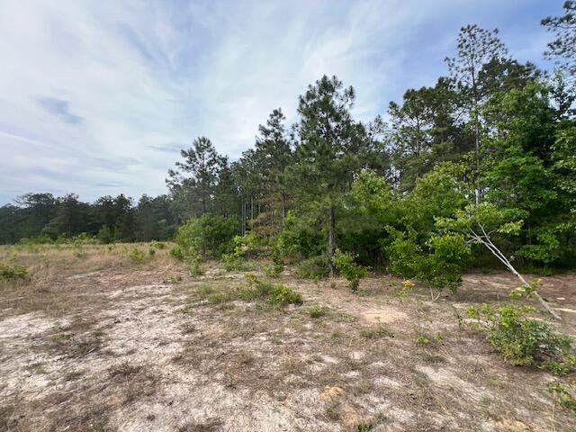 4 Fox Young Road, Unit FYF 4 Wagener, SC 29164 - Photo 7 of 13