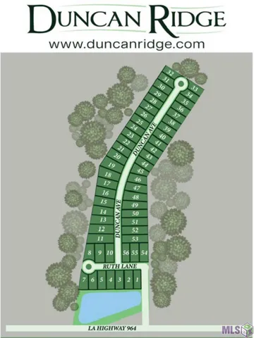 $60,000 | Lot 2 Ruth Avenue, Jackson, LA 70748