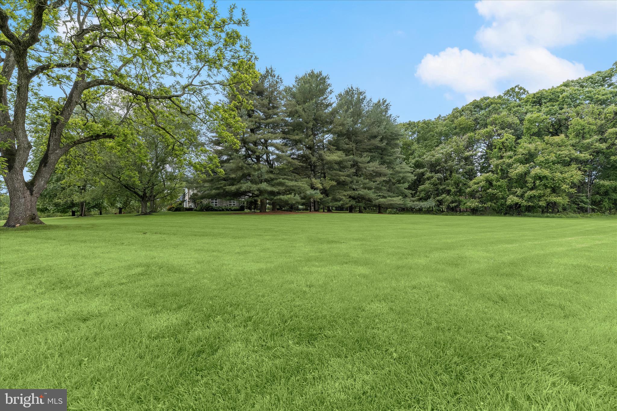13304 Ridgewood Drive Ellicott City, MD 21042 - Photo 77 of 95 Backyard