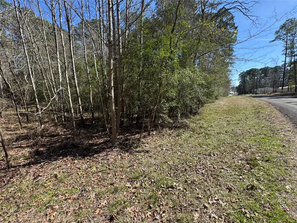 a view of a yard with plants and trees