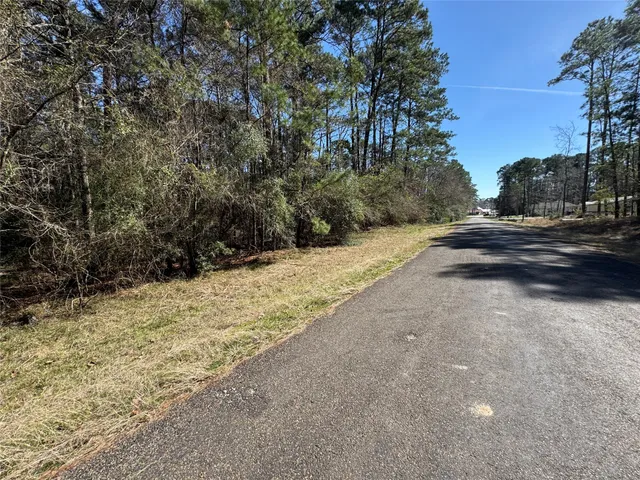 a view of a yard with trees