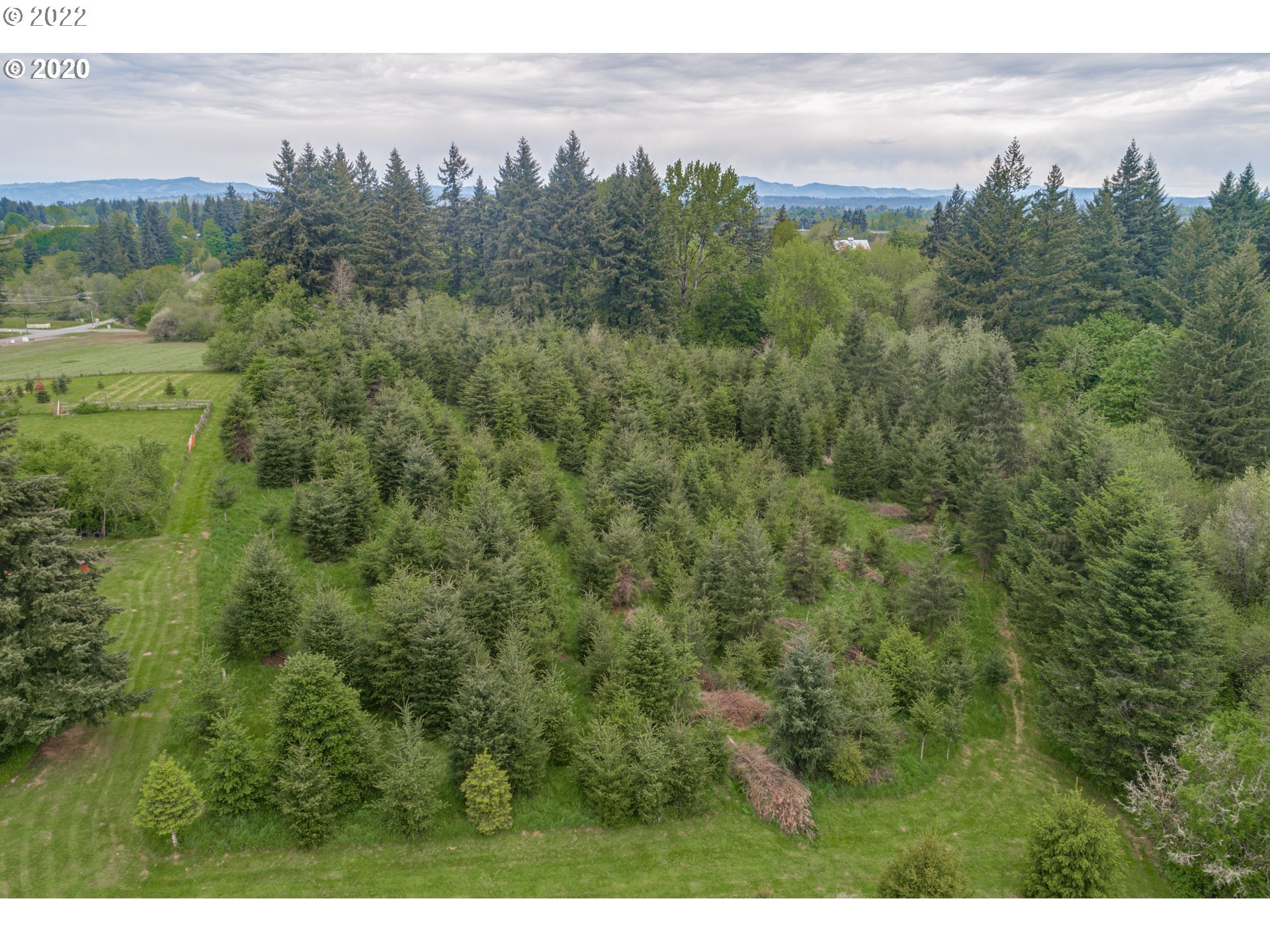 1650 North Royle Road Ridgefield, WA 98642 - Photo 11 of 24 a view of a city with lush green forest