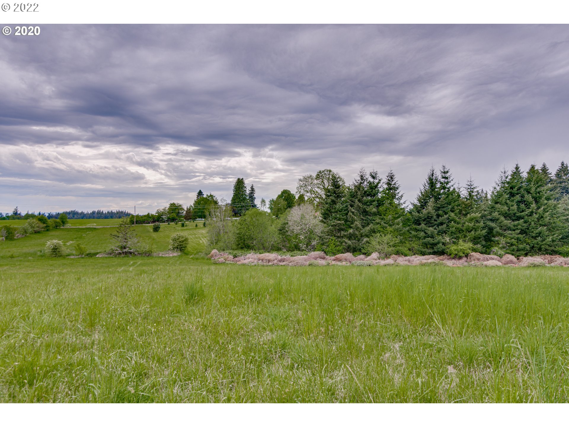 1650 North Royle Road Ridgefield, WA 98642 - Photo 5 of 24 a view of a big yard with a large mountain in the background