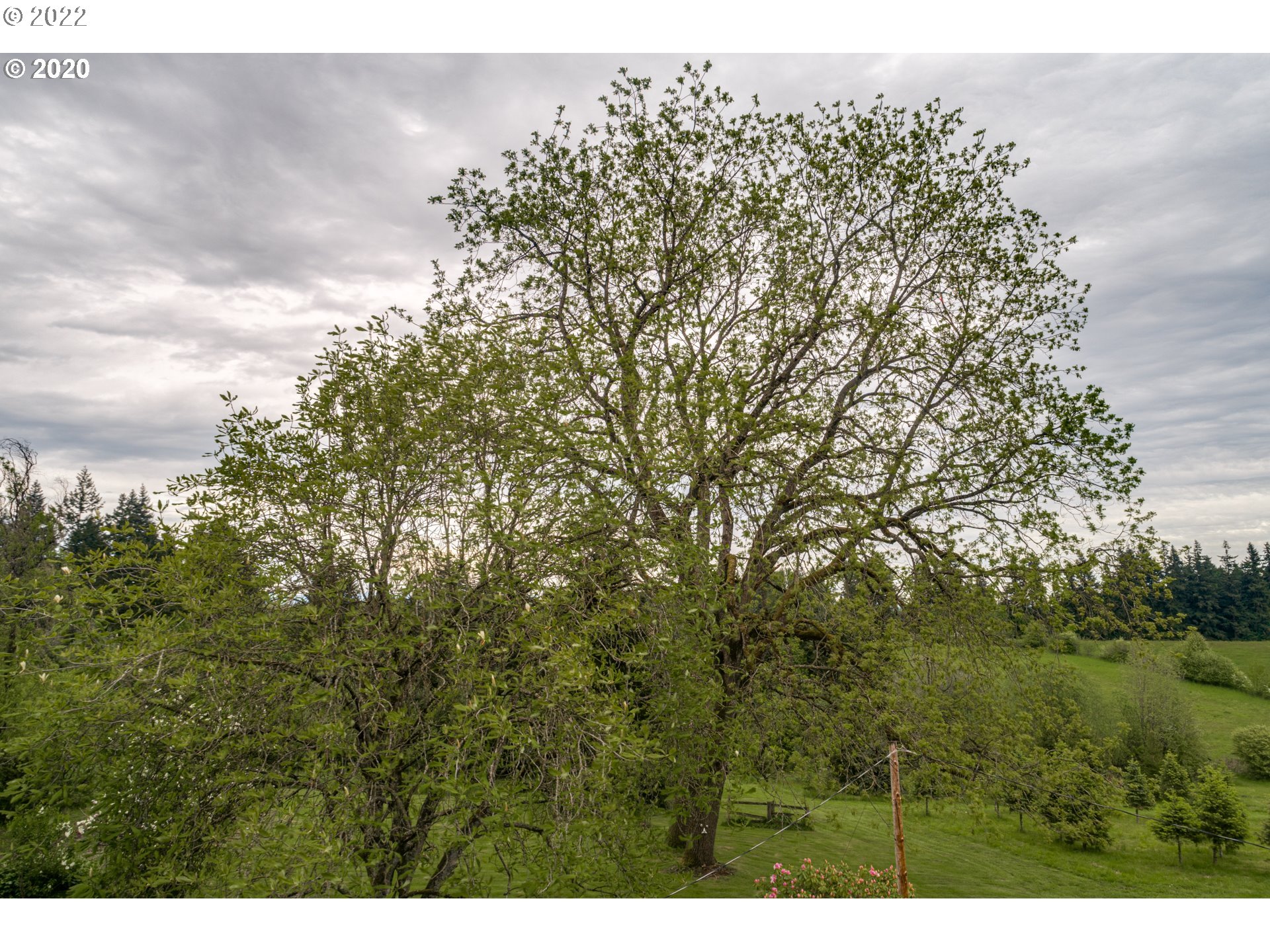1650 North Royle Road Ridgefield, WA 98642 - Photo 6 of 24 a view of an outdoor space with a lake view