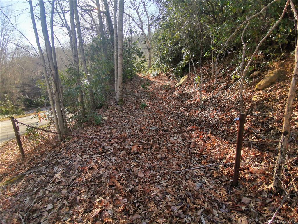 9999 Sheepback Mountain Road Maggie Valley, NC 28751 - Photo 3 of 4 Gallery Image 3