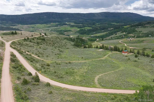 a view of a dry yard with green space