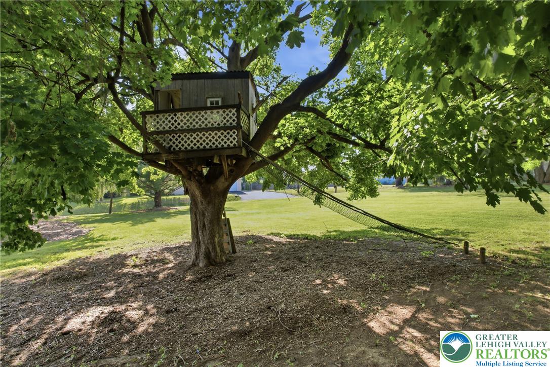 4682 Steuben Road Bethlehem, PA 18020 - Photo 57 of 79 A whimsical treehouse provides a delightful backyard retreat, nestled among lush foliage.