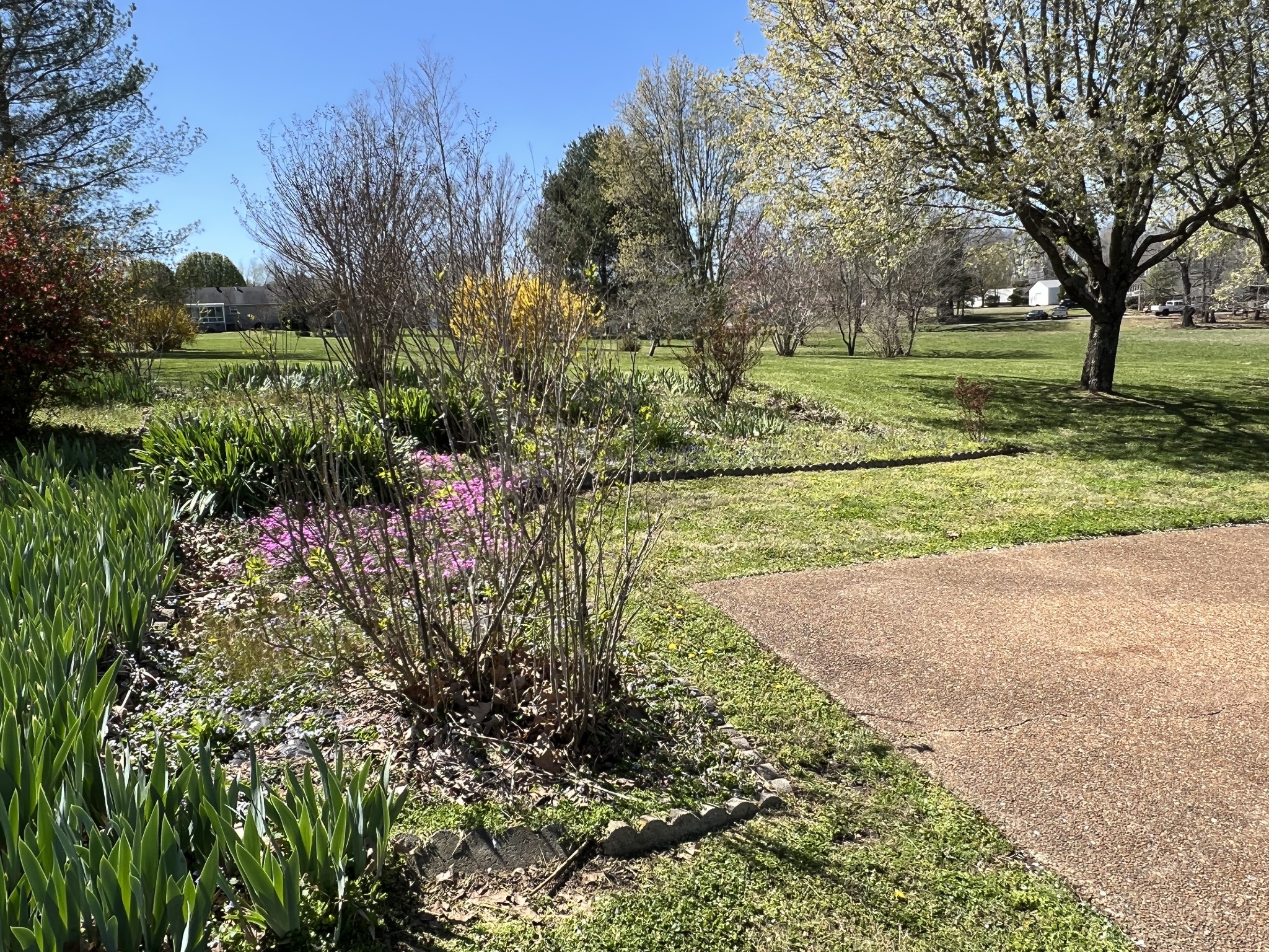 421 Ranch Road Portland, TN 37148 - Photo 2 of 38 a view of a garden with a tree