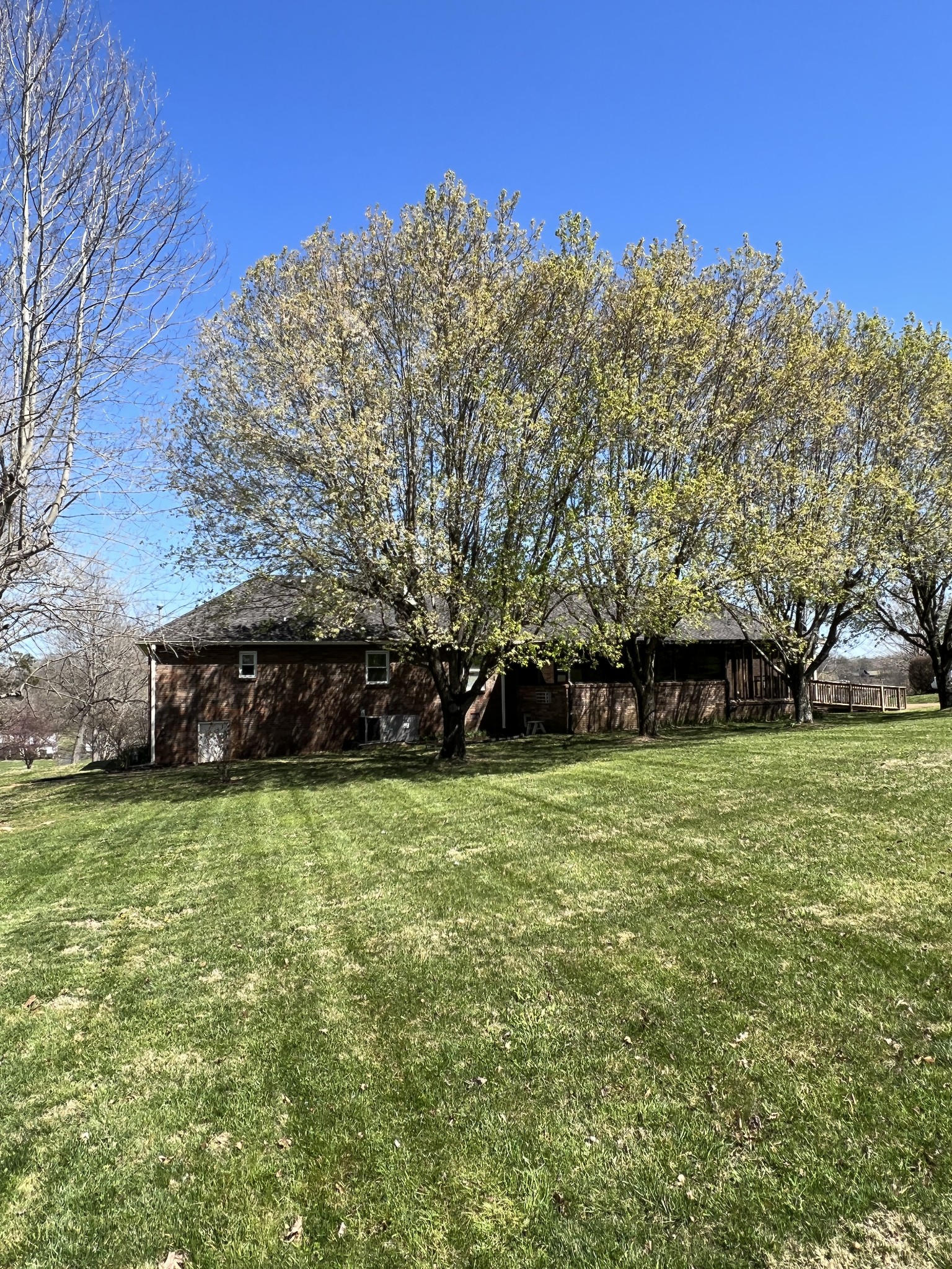 421 Ranch Road Portland, TN 37148 - Photo 28 of 38 a backyard of a house with lots of green space