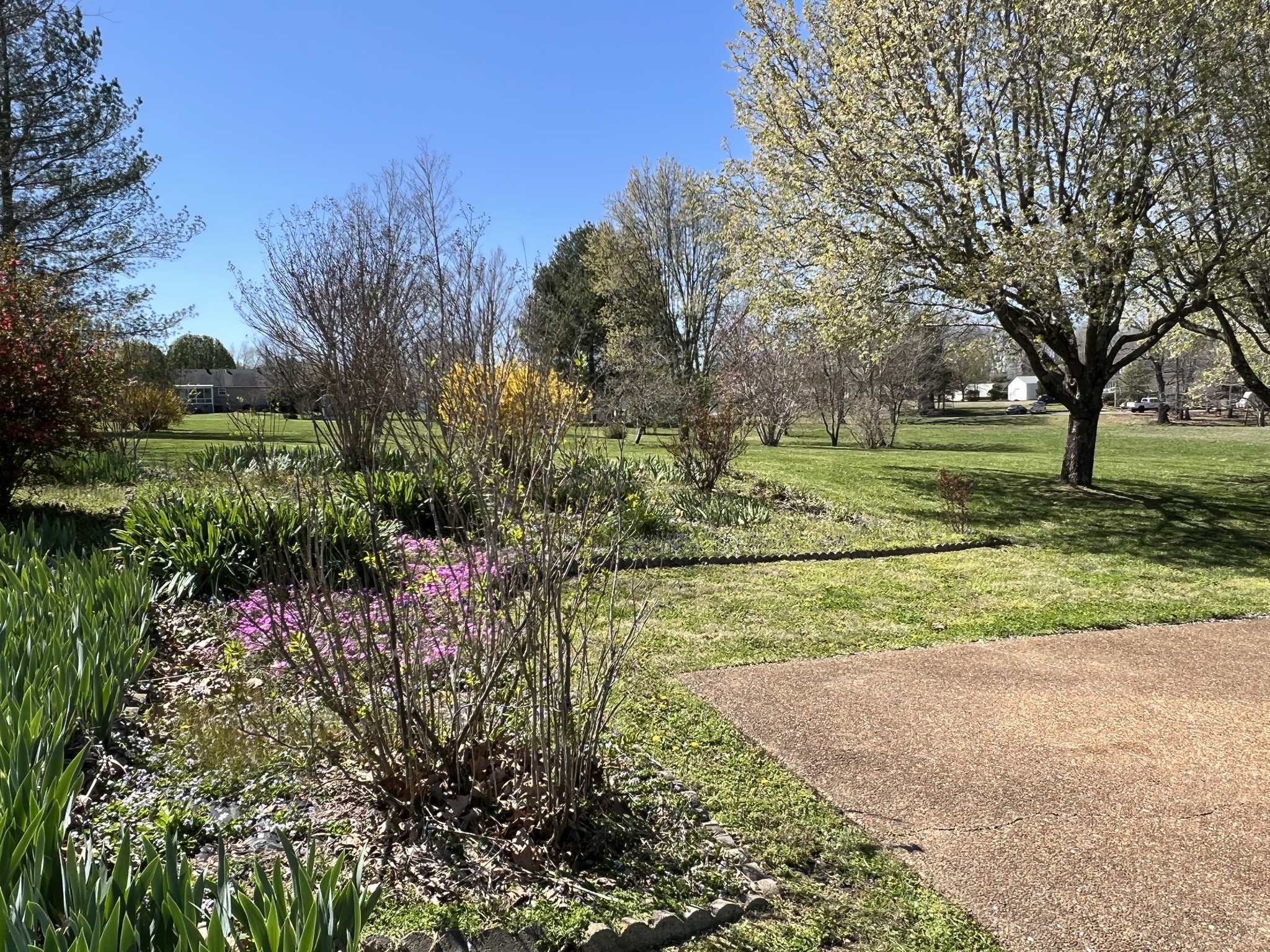 421 Ranch Road Portland, TN 37148 - Photo 32 of 38 a view of a garden with an trees