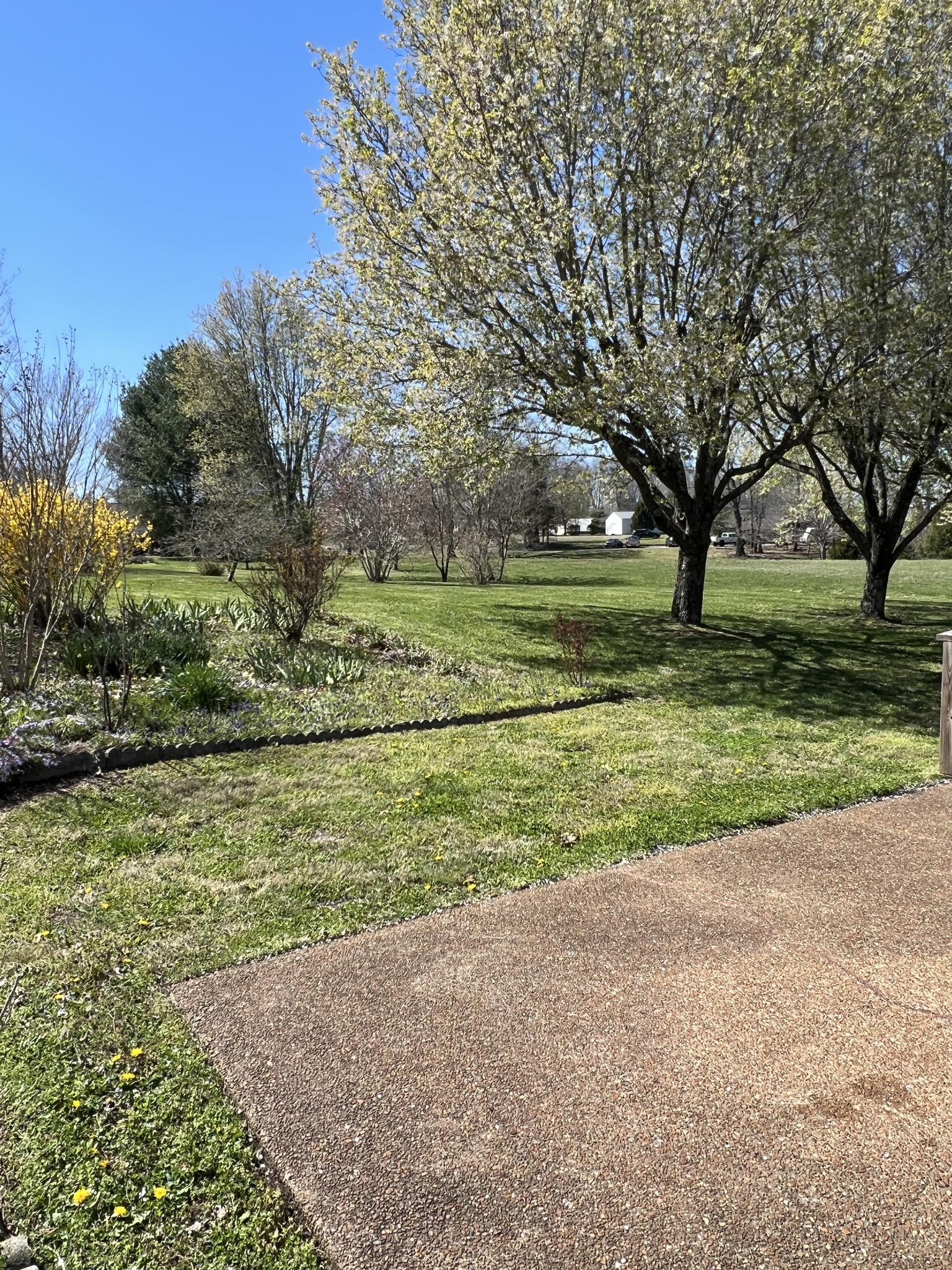 421 Ranch Road Portland, TN 37148 - Photo 34 of 38 a view of outdoor space with green field and trees