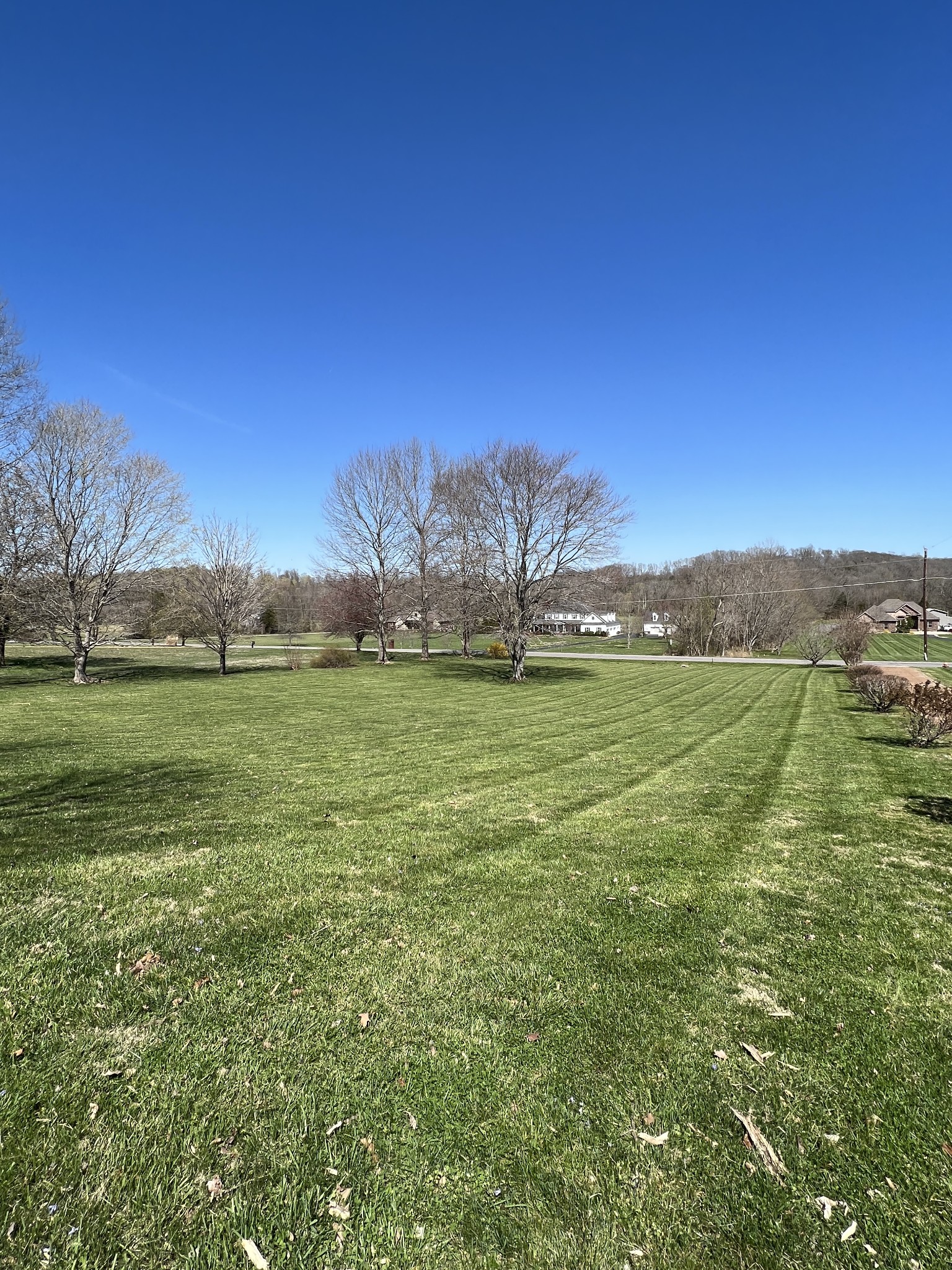 421 Ranch Road Portland, TN 37148 - Photo 38 of 38 a view of a field with an trees