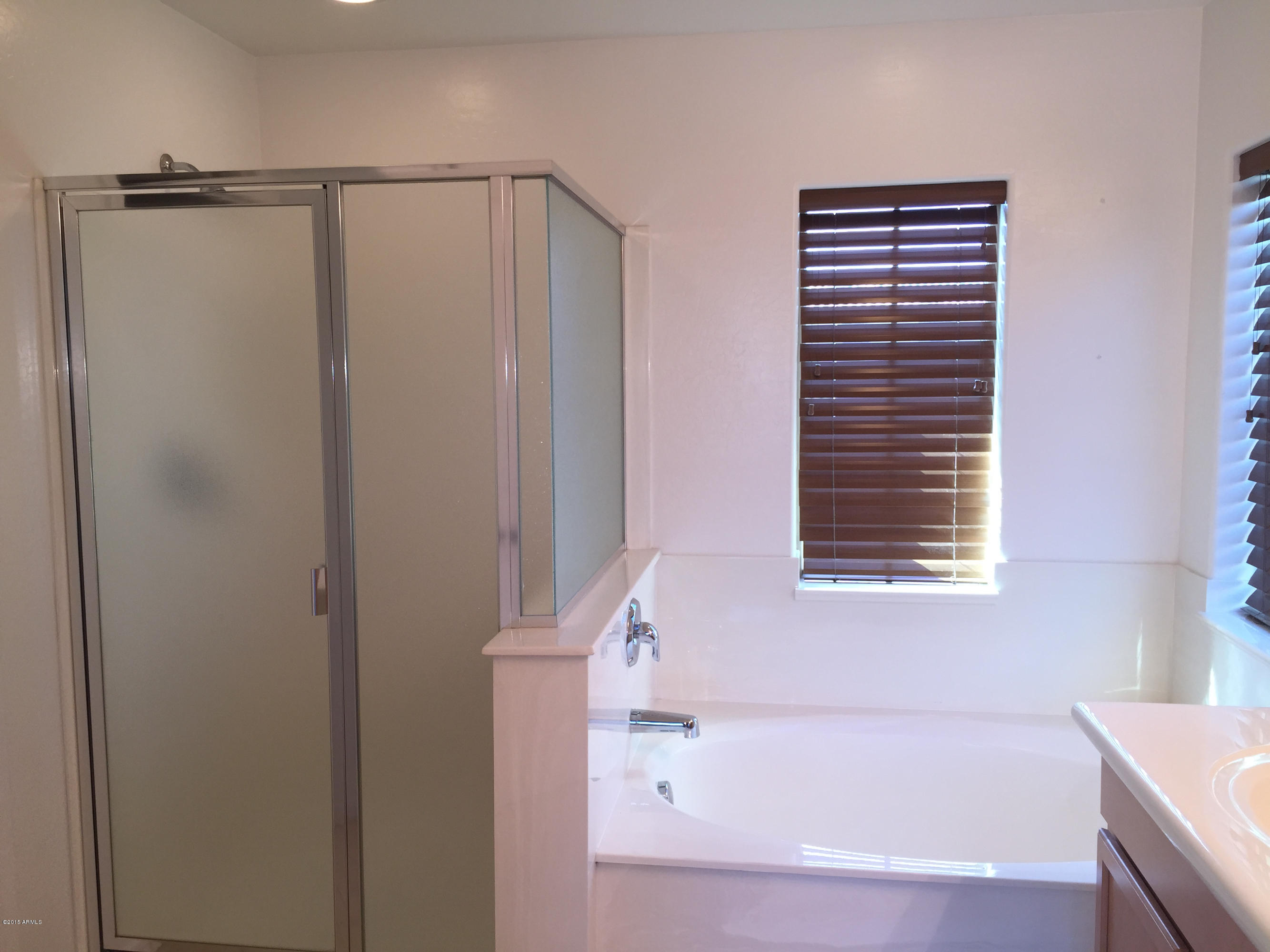 14312 West Coronado Road Goodyear, AZ 85395 - Photo 23 of 52 Master Bathroom